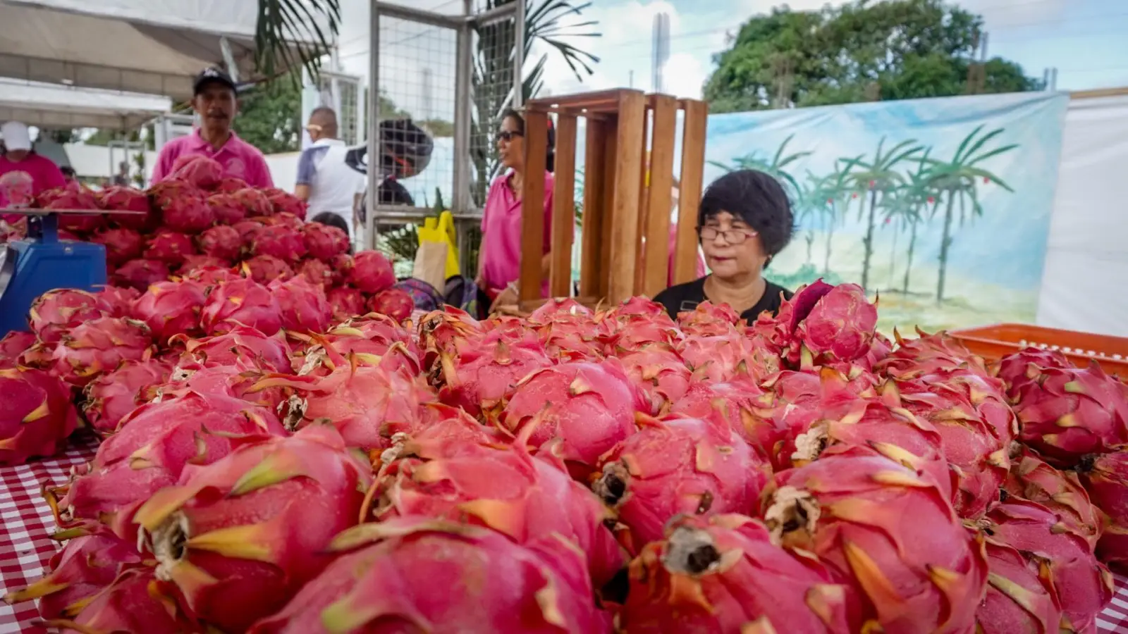 Dragon Fruit Festival, photo 1 of 7