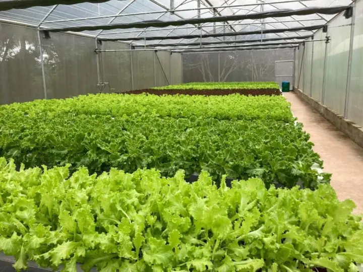 JEM Home Farm Eco Adventures, photo 8 of 9