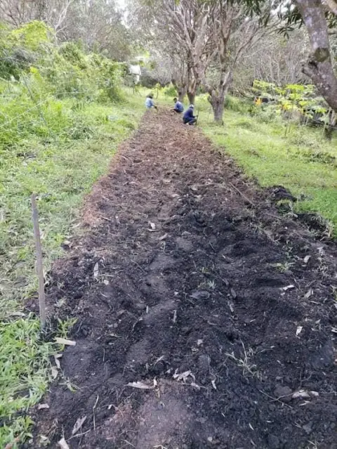 Wonder's Farm, photo 6 of 9