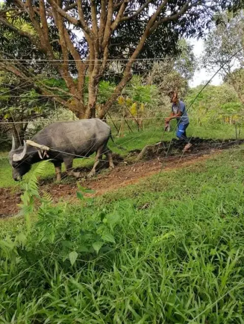 Wonder's Farm, photo 7 of 9