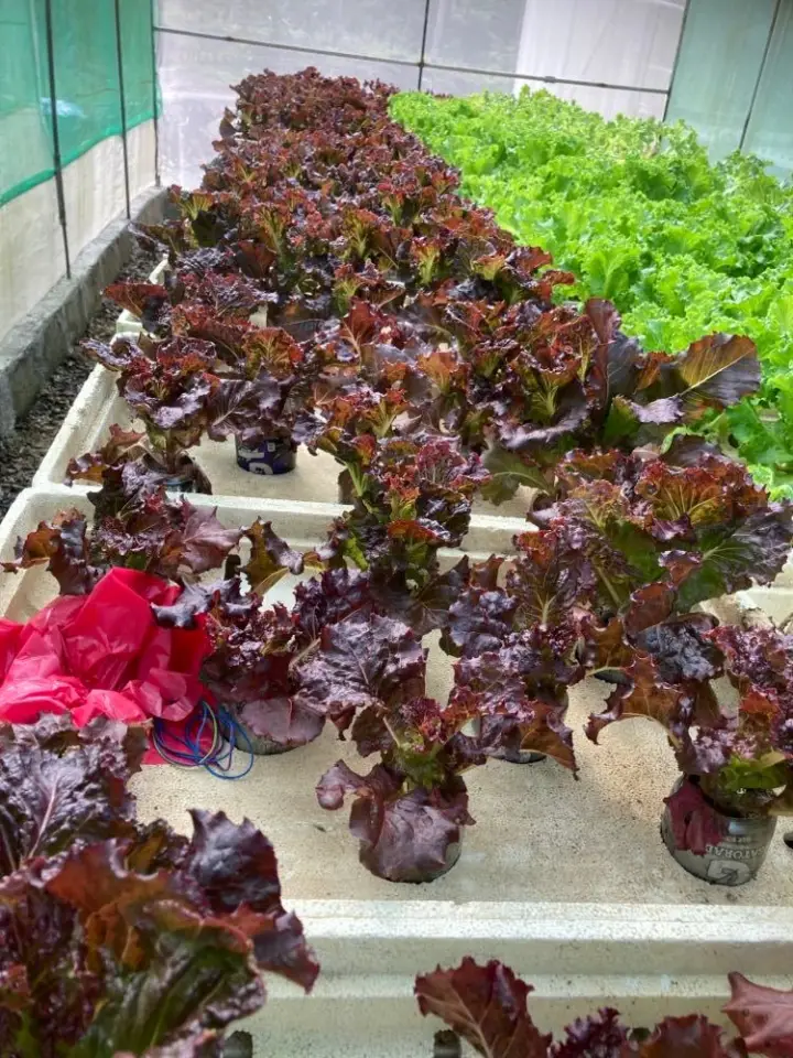 JEM Home Farm Eco Adventures, photo 2 of 9