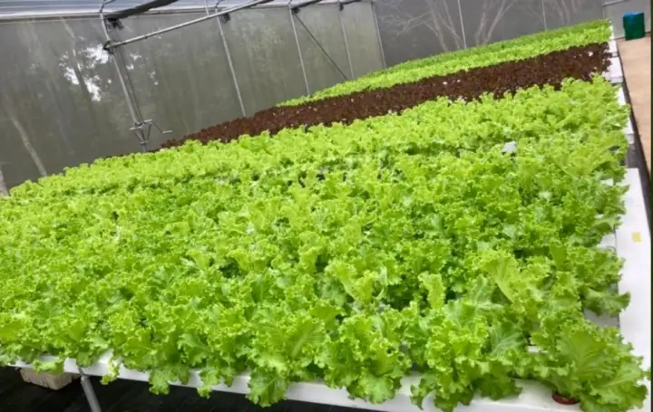 JEM Home Farm Eco Adventures, photo 9 of 9