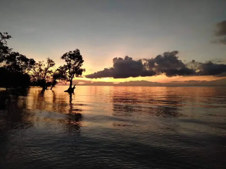 The Clara Beach and Guest House, photo 8 of 9