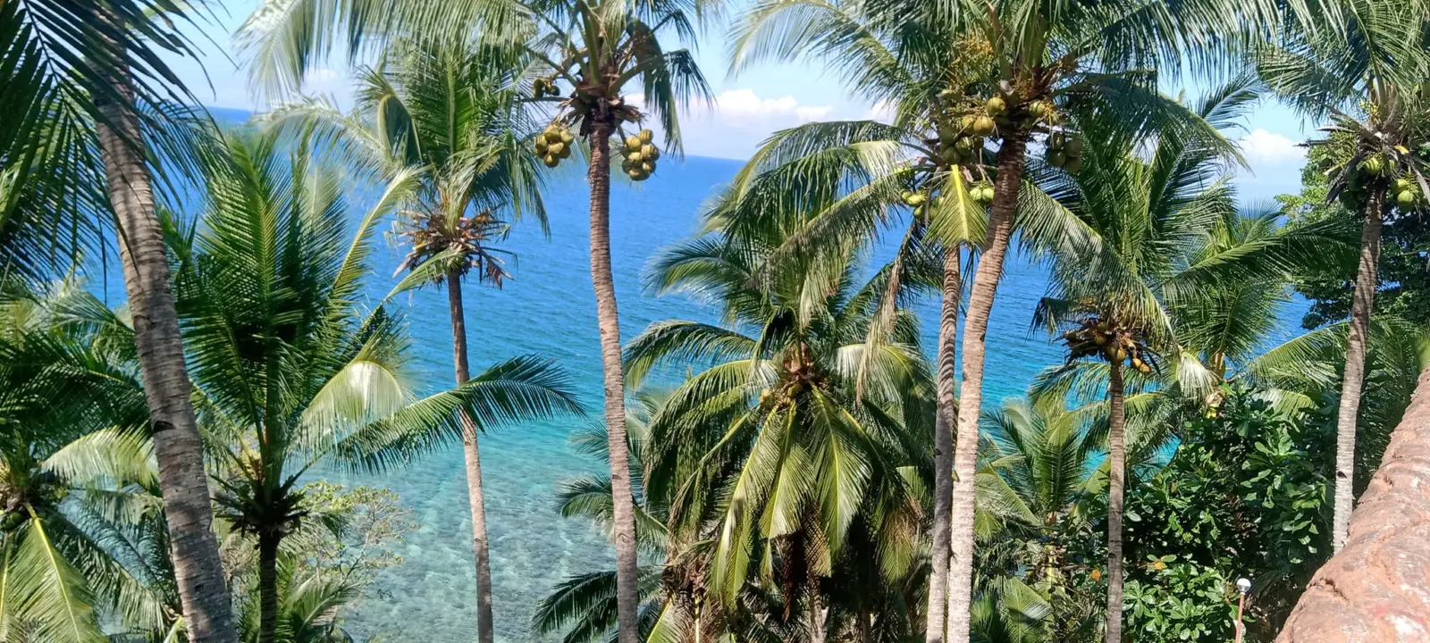 Kenyama Beach Resort, photo 10 of 10