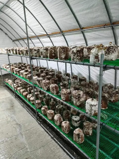 Wonder's Farm, photo 8 of 9