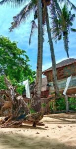 The Clara Beach and Guest House, photo 6 of 9