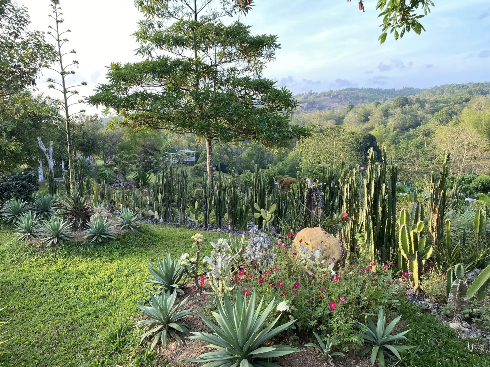 Sunrise Valley Oceanview Resort, photo 6 of 9