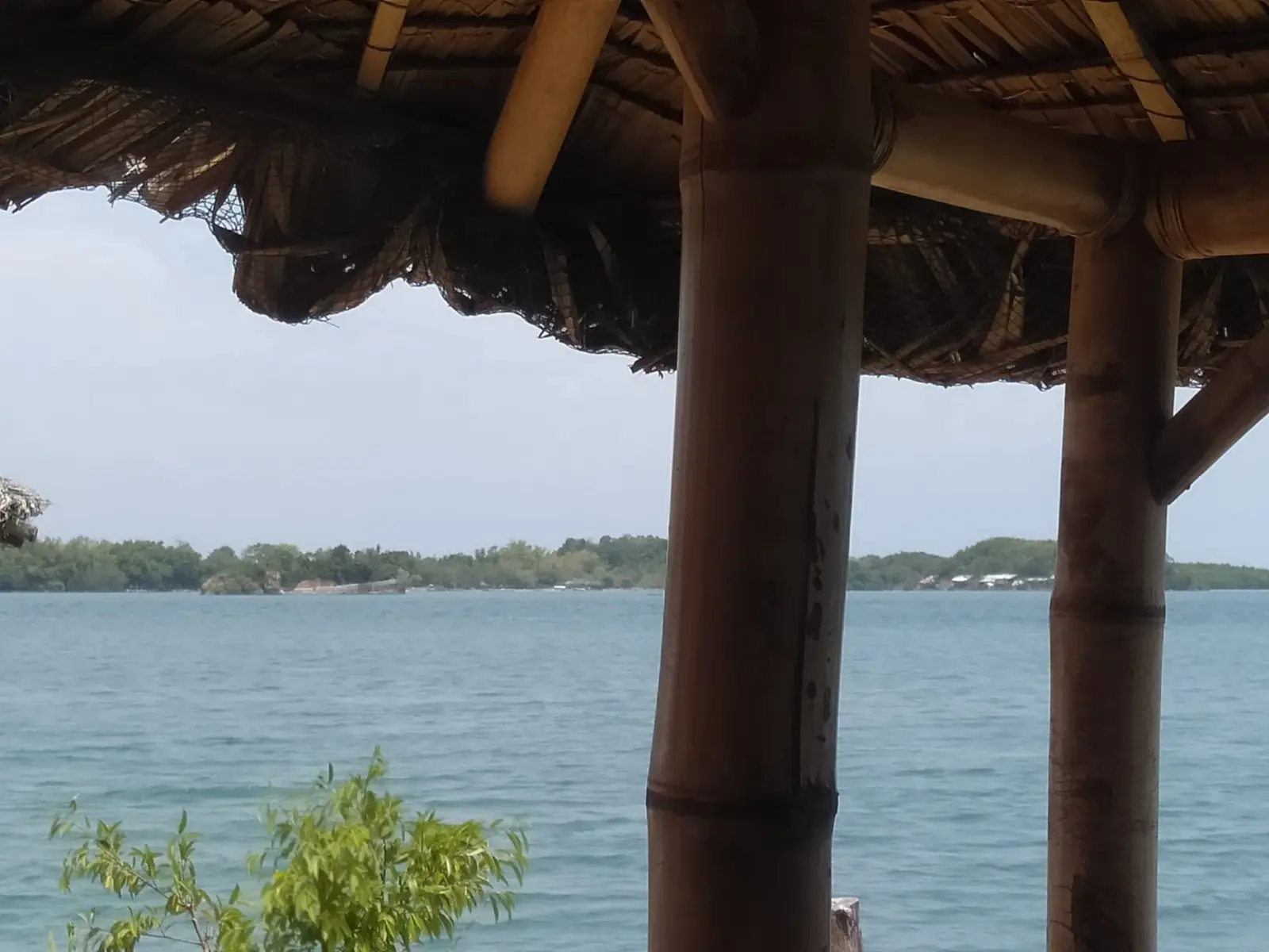 Bikings Seafoods and Resto, photo 6 of 8
