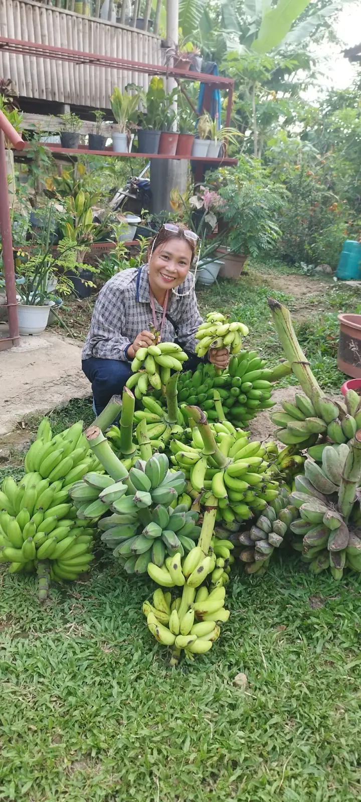 Paquito Farm, photo 1 of 9