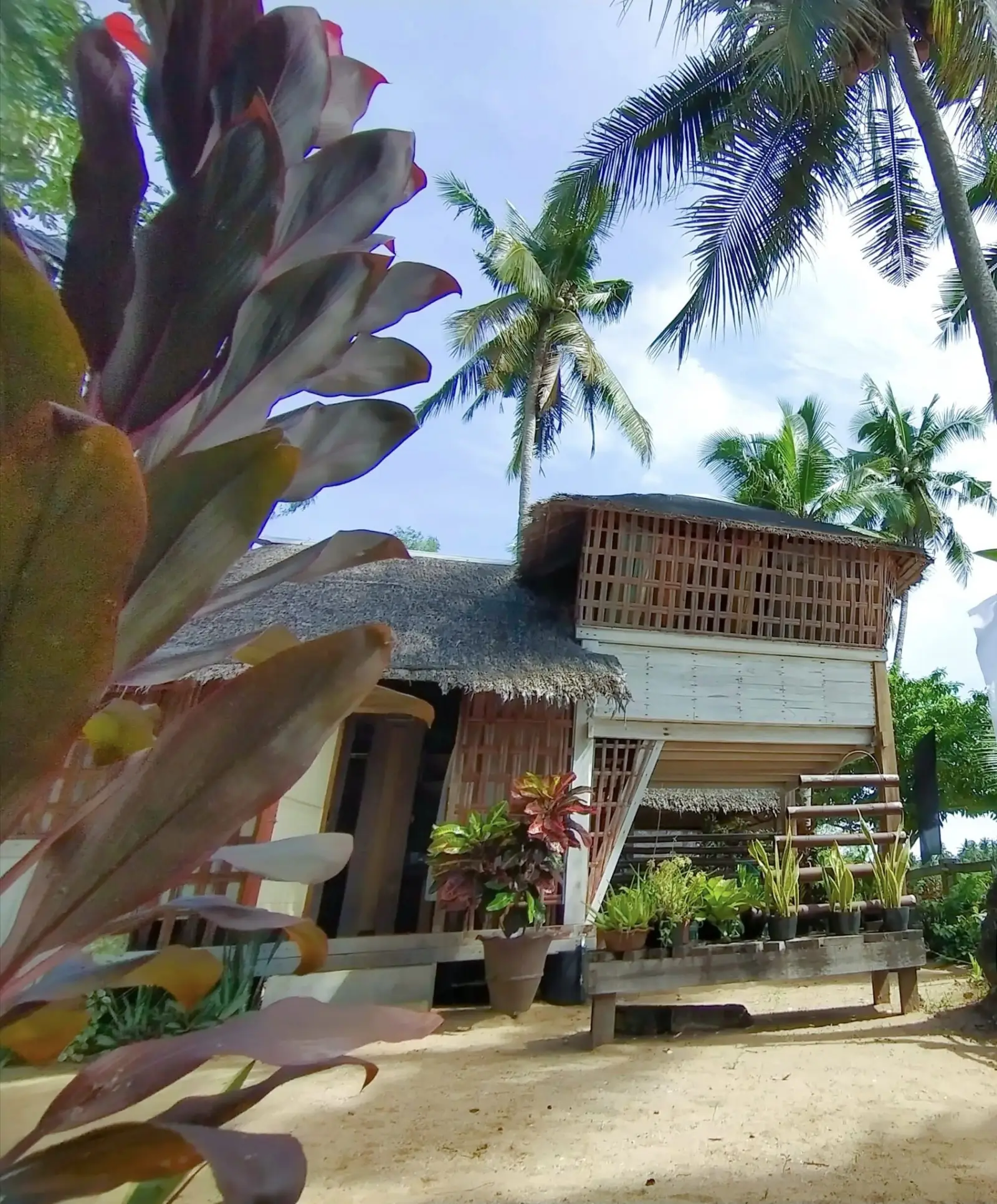 The Clara Beach and Guest House, photo 5 of 9