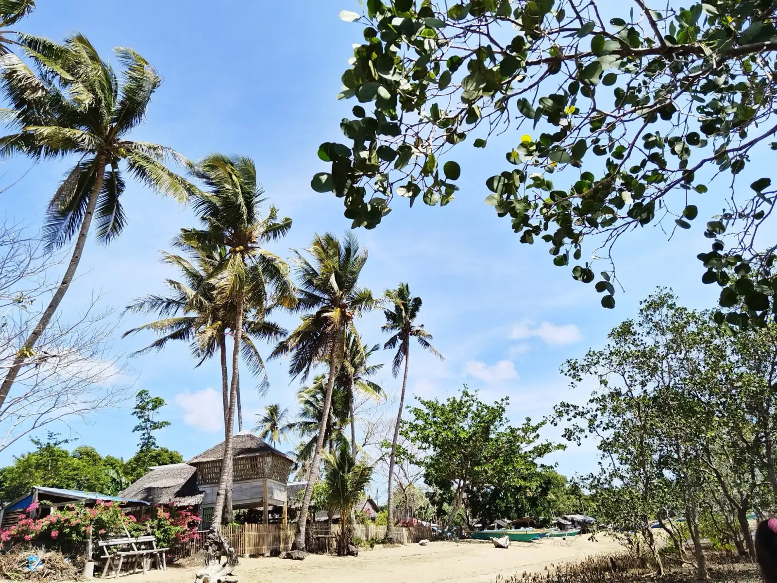The Clara Beach and Guest House, photo 4 of 9