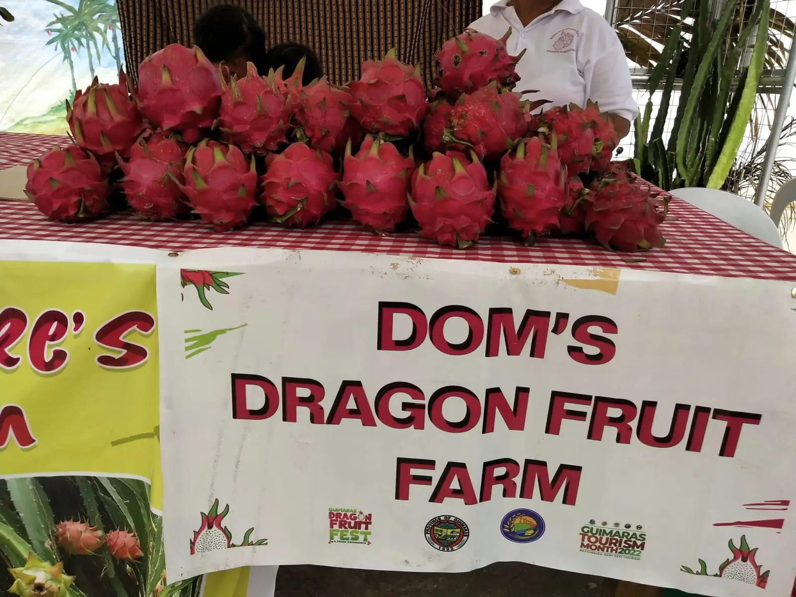 Dom’s Farm and the Riders Camp, photo 7 of 8