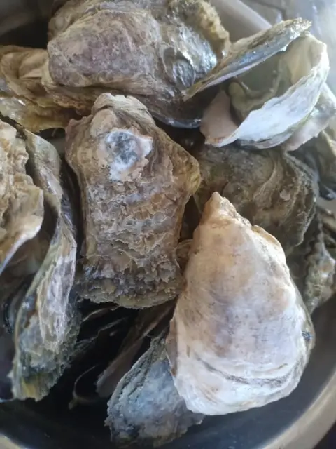 Bikings Seafoods and Resto, photo 2 of 8