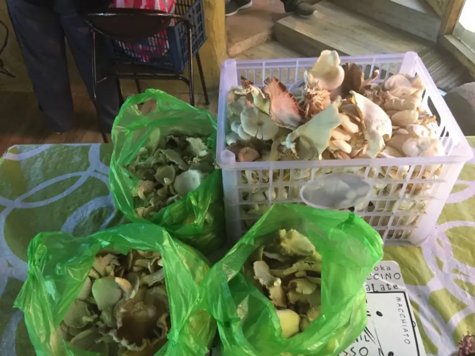 JEM Home Farm Eco Adventures, photo 4 of 9
