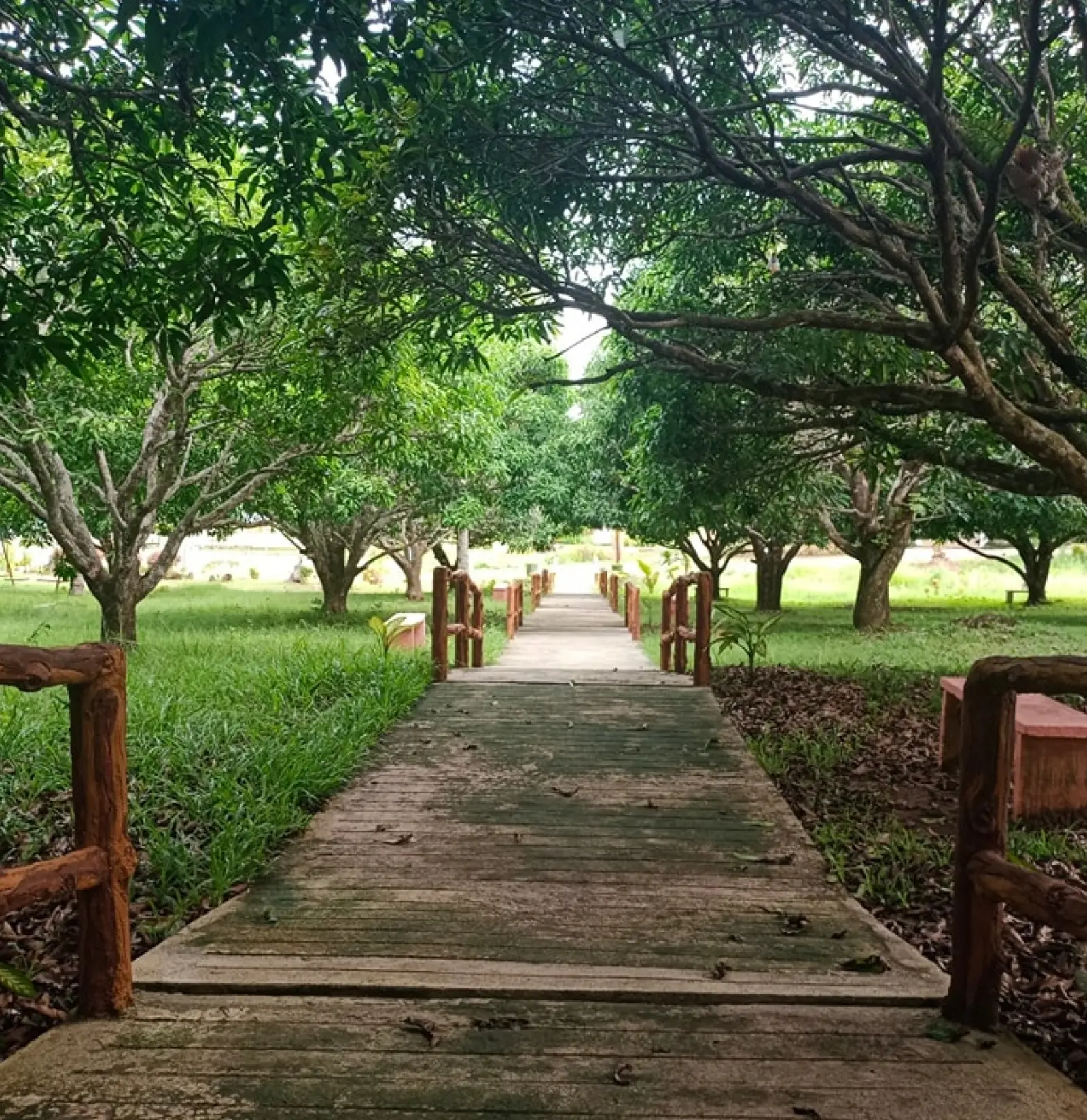 Fatima Farm Resort, photo 3 of 9