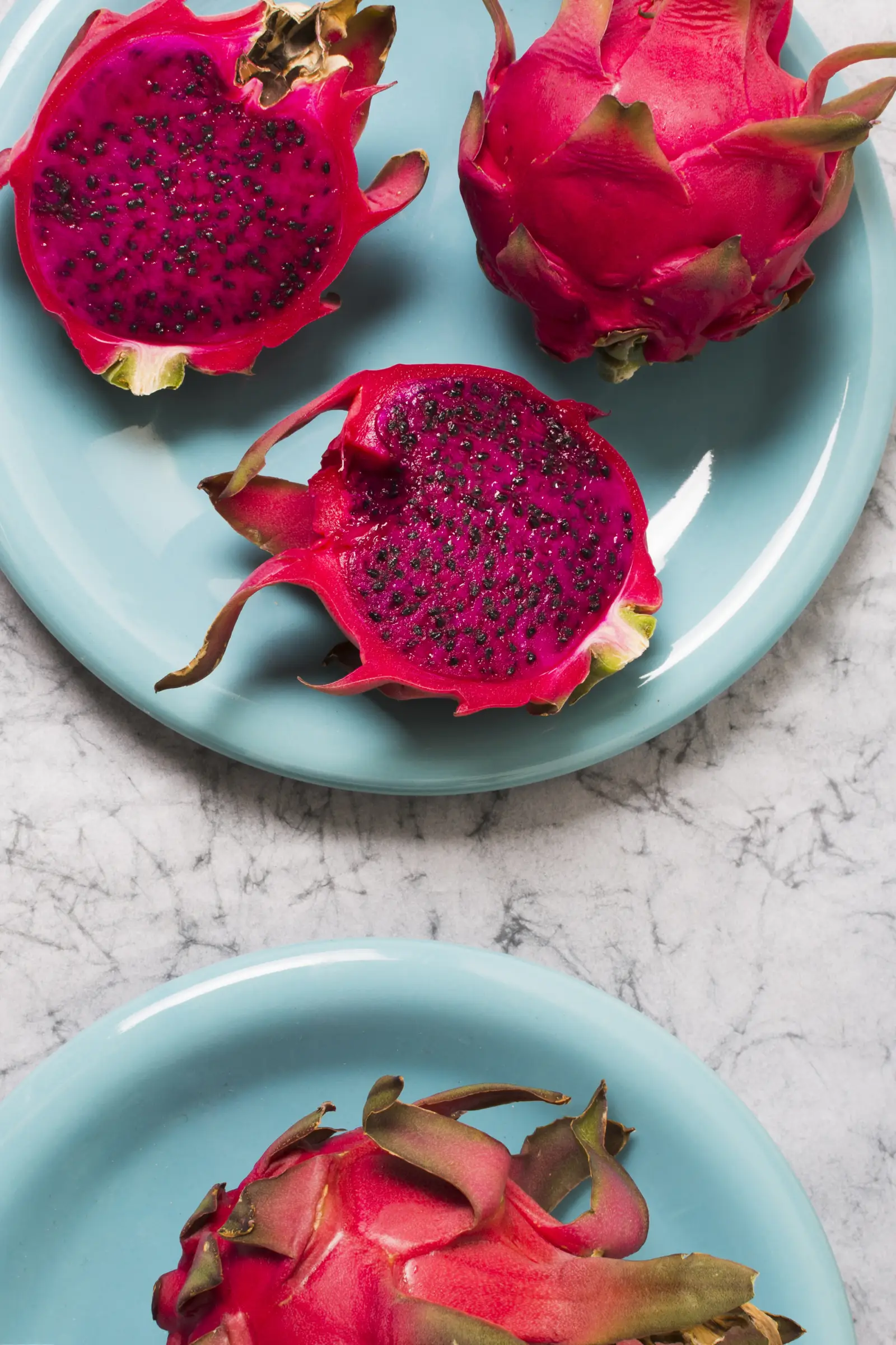 Dragon Fruit Festival, photo 3 of 7