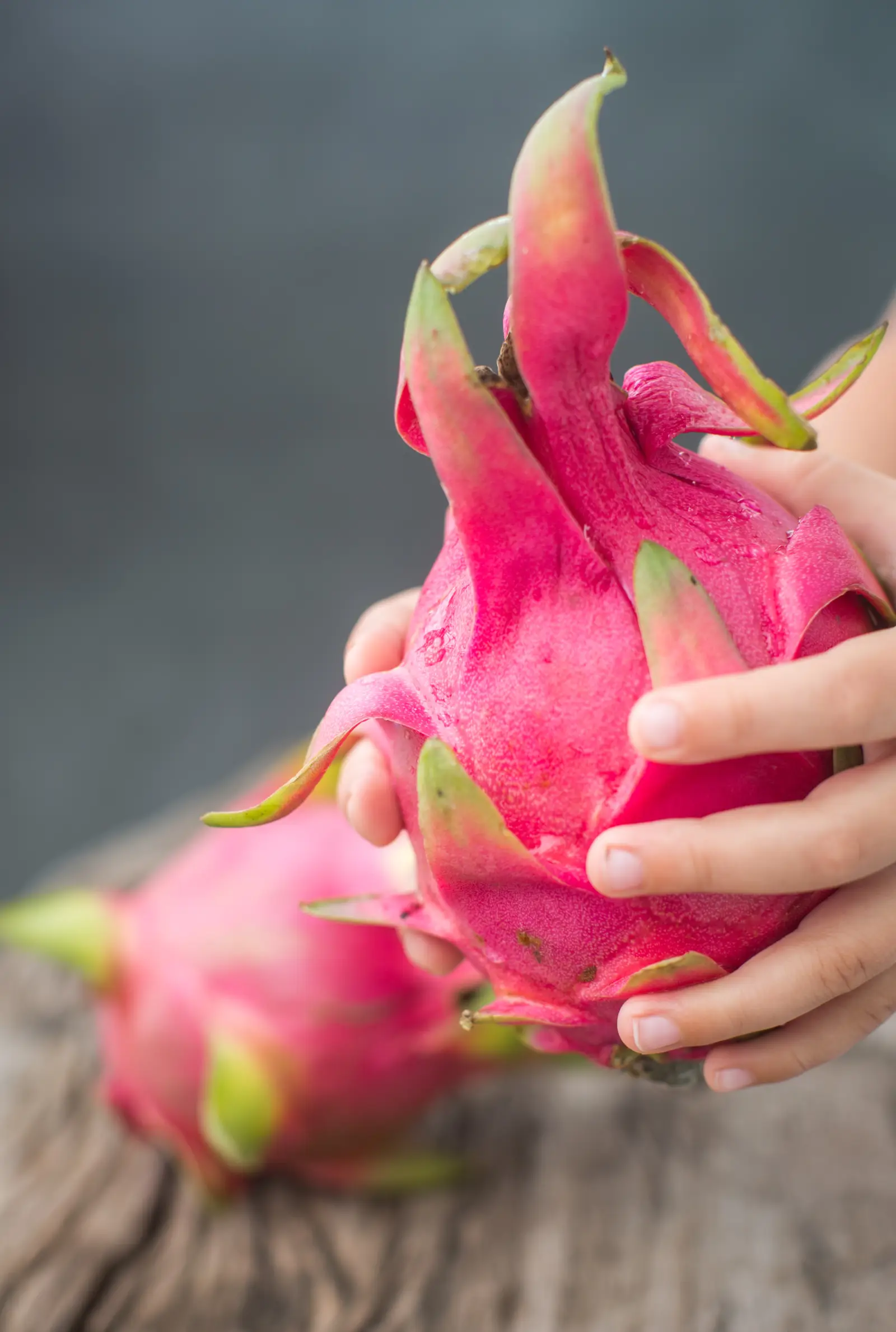 Dragon Fruit Festival, photo 4 of 7