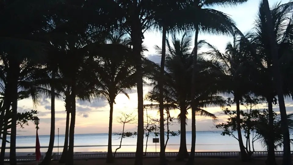 Playa de Paraiso Beach Resort, photo 6 of 8