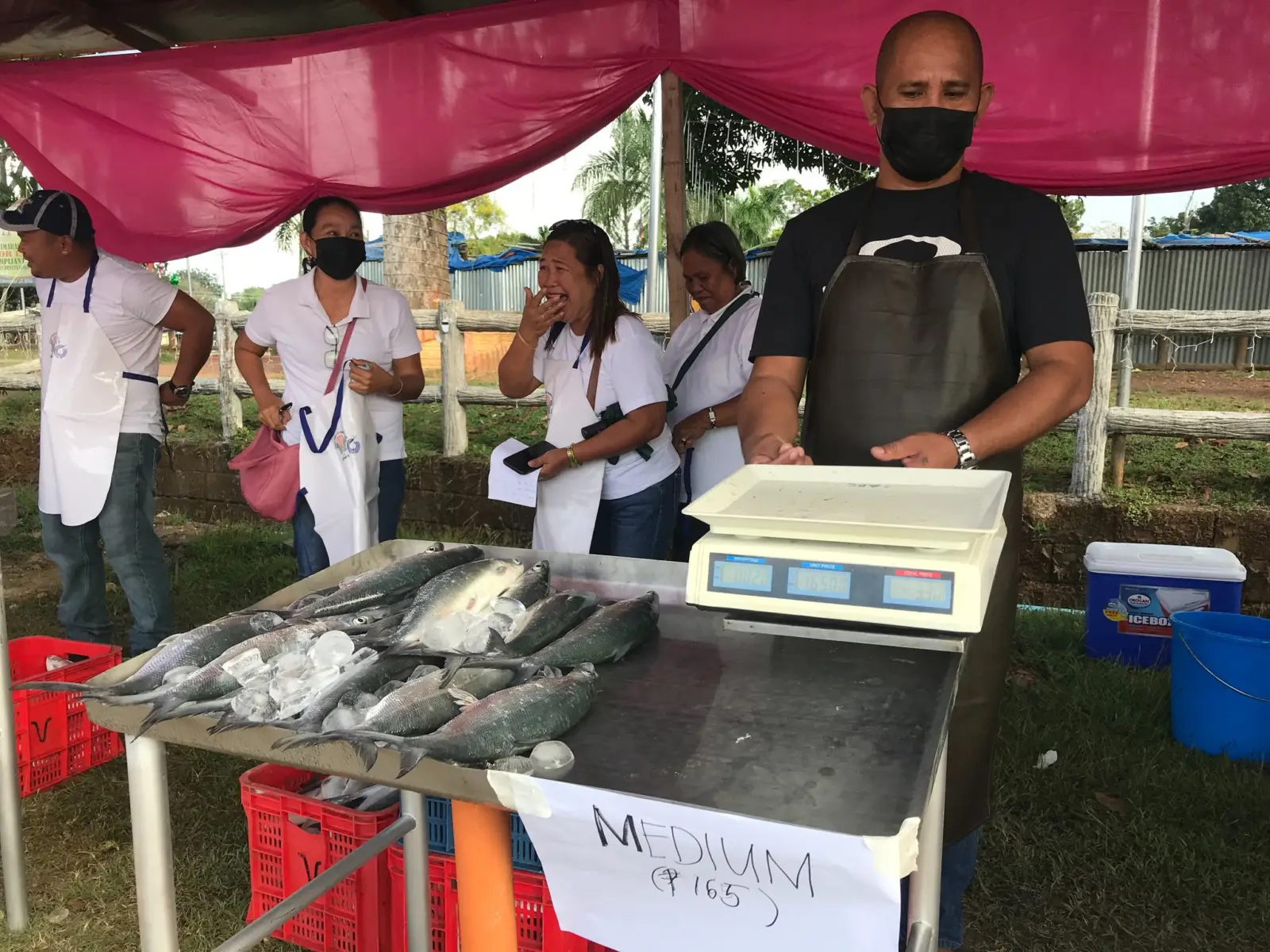 Bangus Festival, photo 2 of 11
