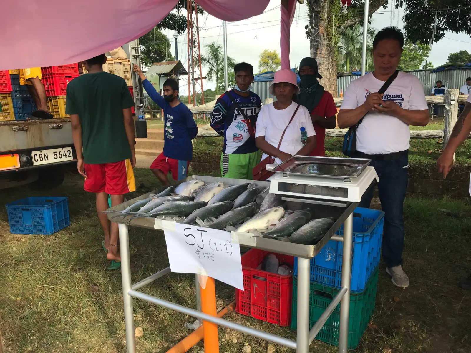 Bangus Festival, photo 4 of 11