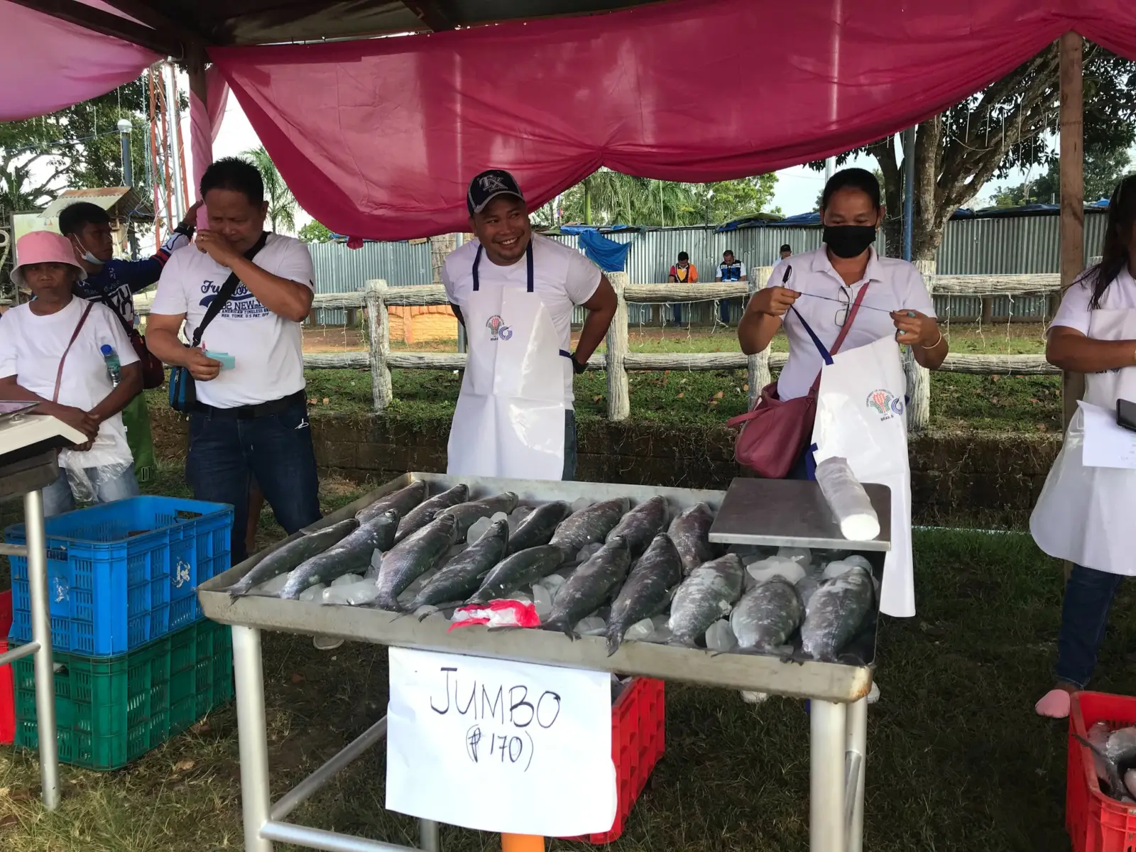 Bangus Festival, photo 9 of 11
