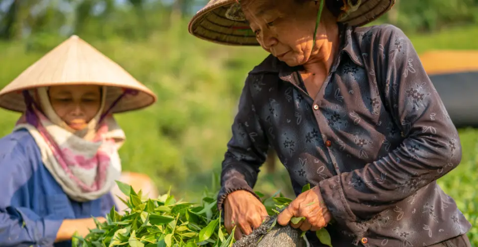 Agriculture training