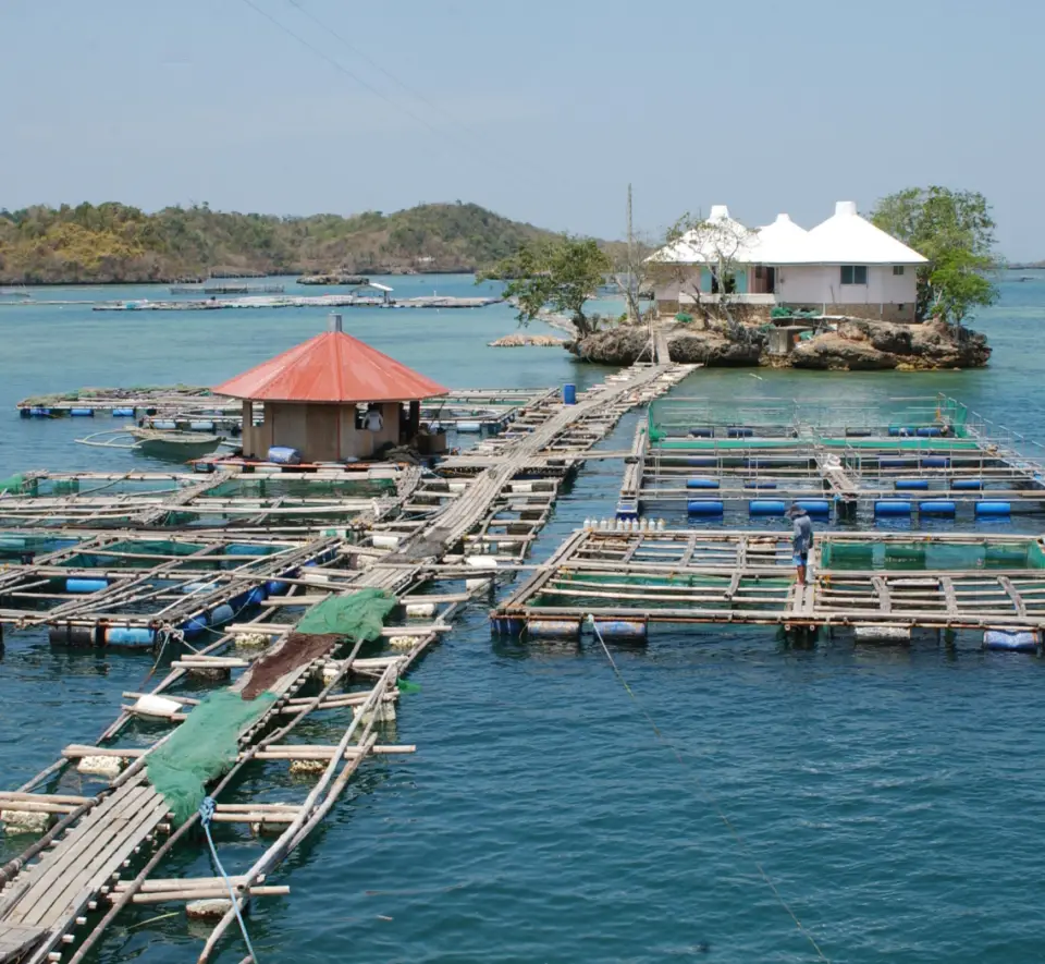 Tourism, trade, investment & employment
