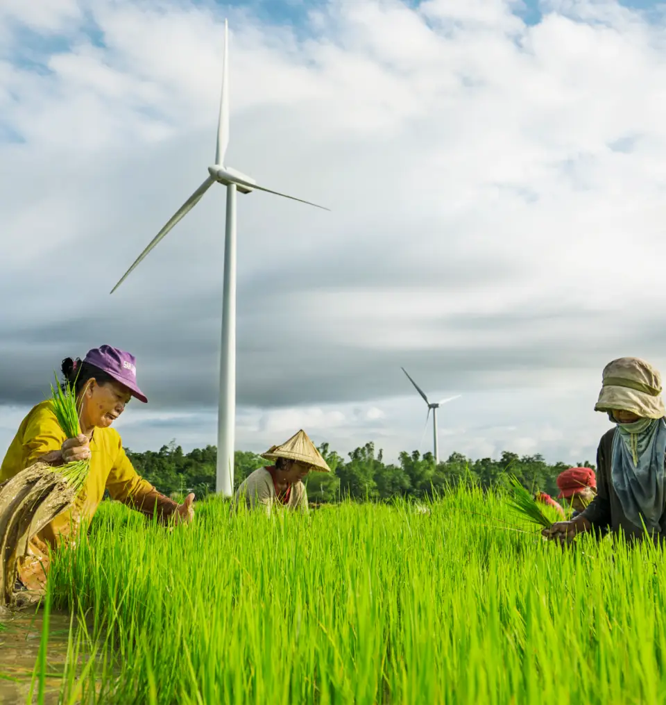 Farmland in Guimaras