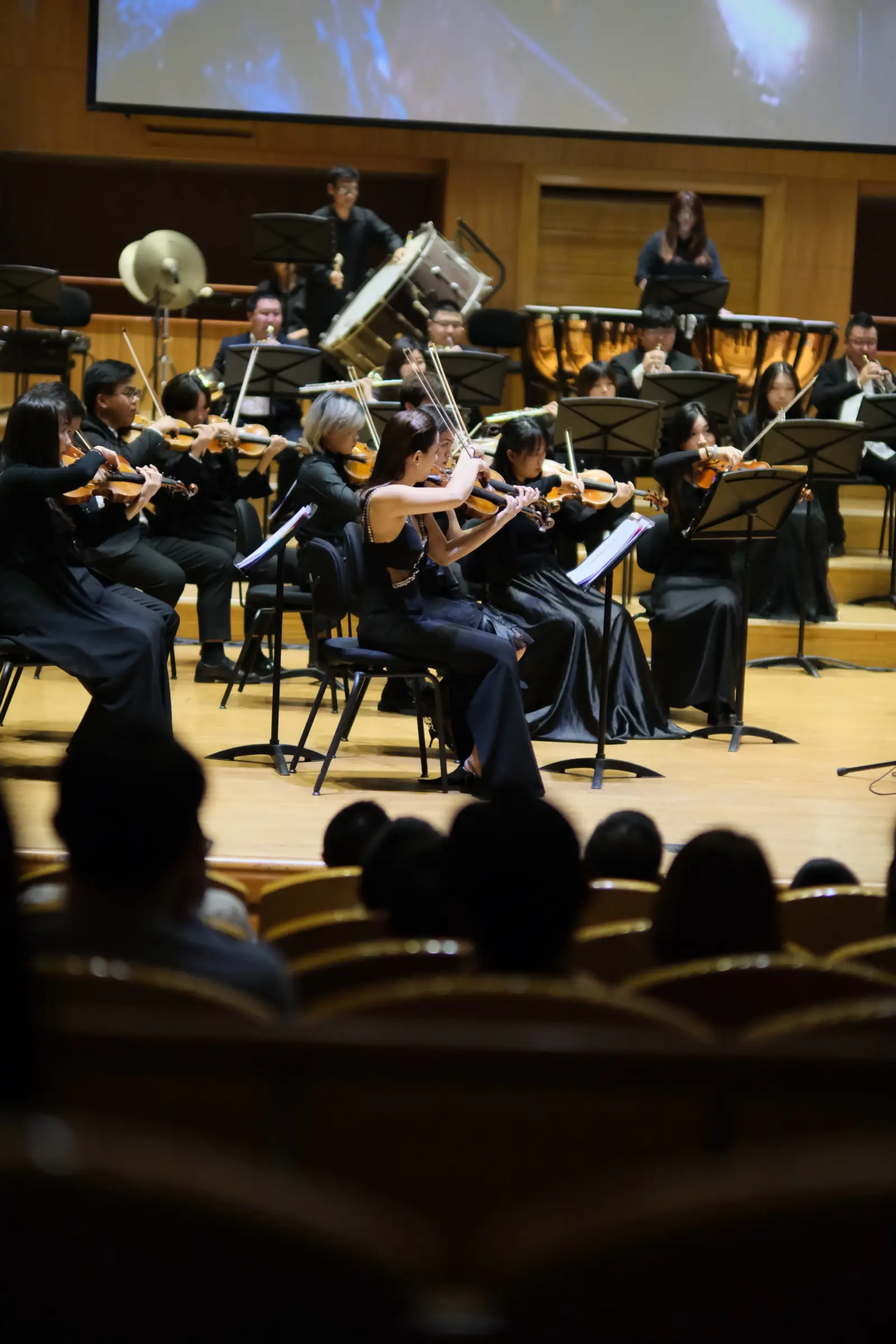 An Evening with the Guimaras Orchestra, photo 1 of 4