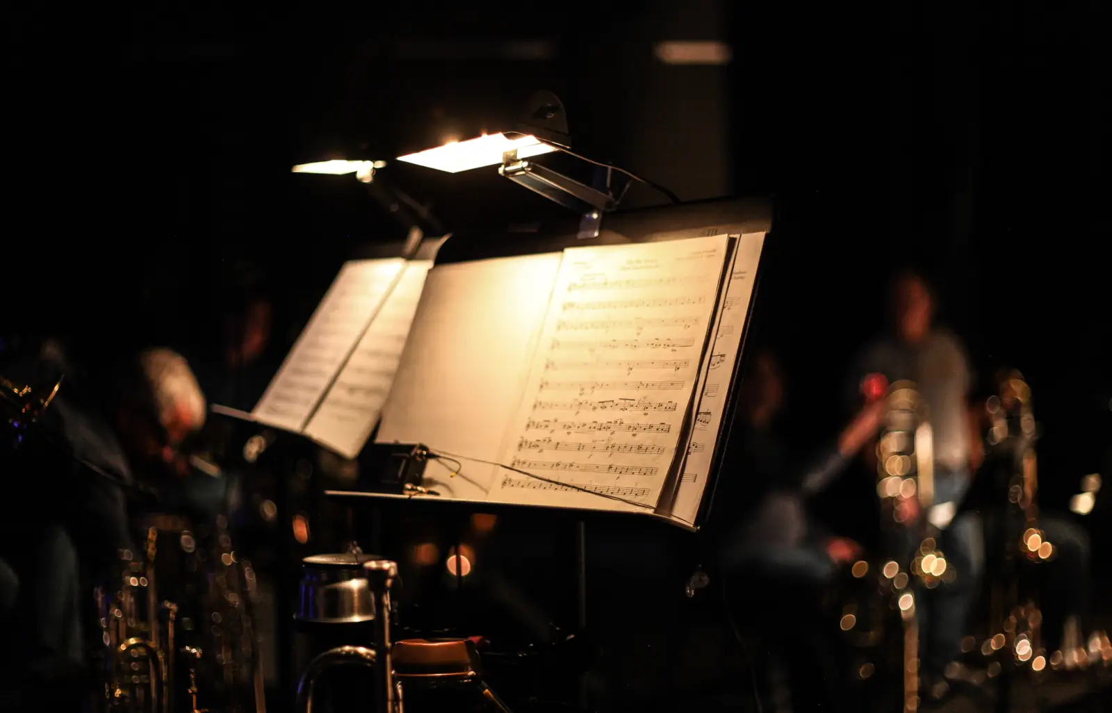 An Evening with the Guimaras Orchestra, photo 2 of 4
