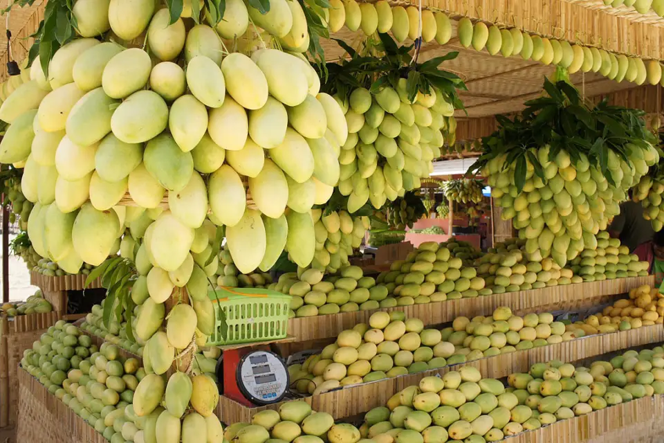 Guimaras Manggahan Festival 2024: Sweetness Unleashed!, photo 1 of 4